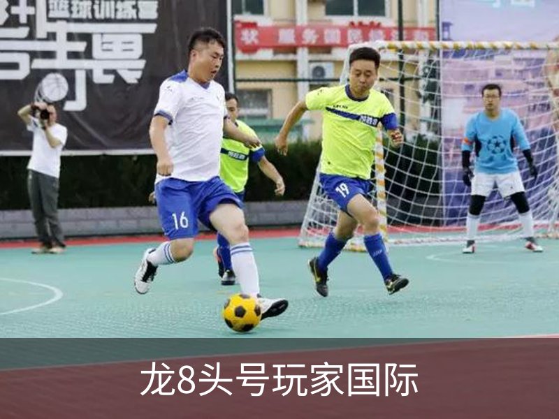 龙8头号玩家国际概况